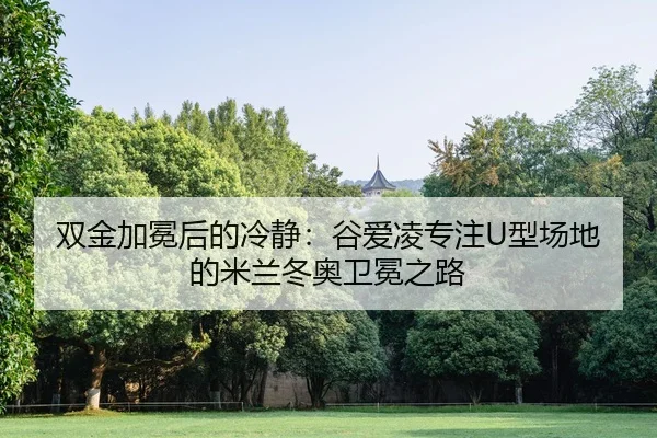 shuang-jin-jia-mian-hou-de-leng-jing-gu-ai-ling-zhuan-zhu-xing-chang-di-de-mi-lan-dong-ao-wei-mian-zhi-lu-2-516.jpg