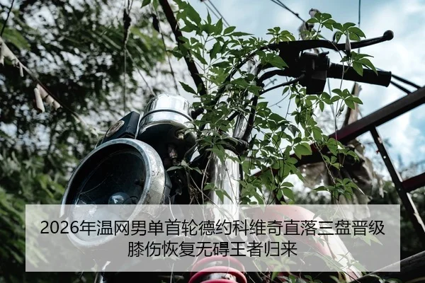 nian-wen-wang-nan-dan-shou-lun-de-yue-ke-wei-qi-zhi-luo-san-pan-jin-ji-xi-shang-hui-fu-wu-ai-wang-zhe-gui-lai-2-899.jpg
